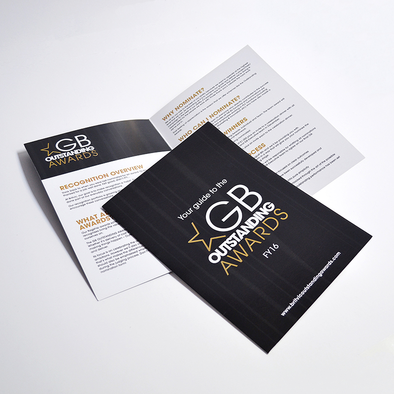 Bi Fold Printed Flyer